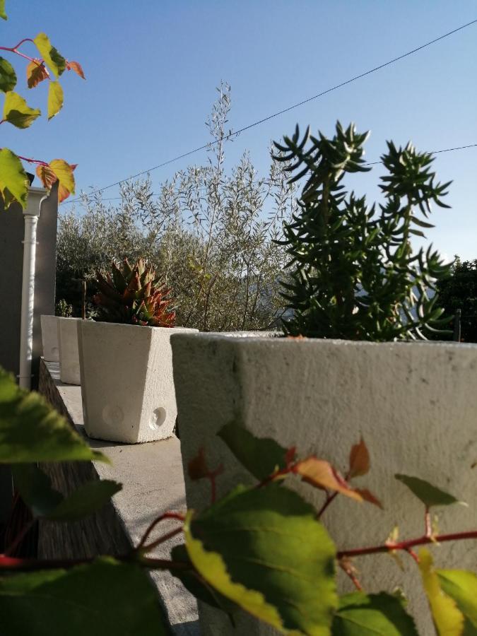 Casa Pedreiras Holiday home Peso da Regua